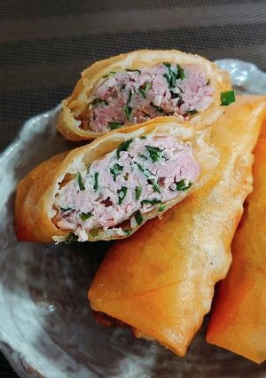 春巻き餃子-レシピのメイン写真