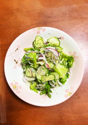 レタスと胡瓜とレッドオニオンのサラダ-レシピのメイン写真