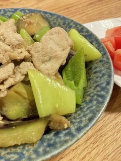豚肉なすピーマンししとう炒め-レシピのメイン写真