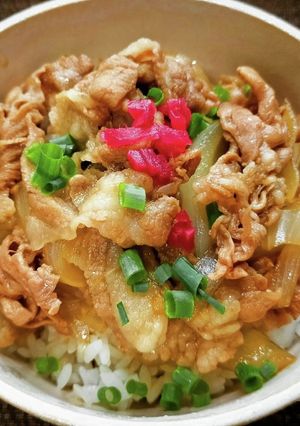 少し甘めの豚丼-レシピのメイン写真