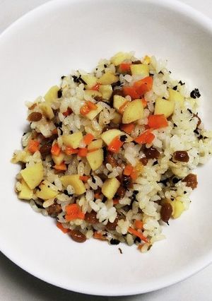 犬ご飯　納豆チャーハン-レシピのメイン写真