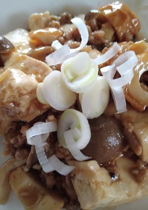 なぁ〜んちゃって麻婆豆腐！？-レシピのメイン写真