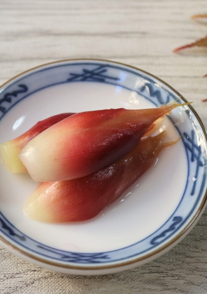 みょうがの甘酢漬け【ＪＡ福井県】-レシピのメイン写真