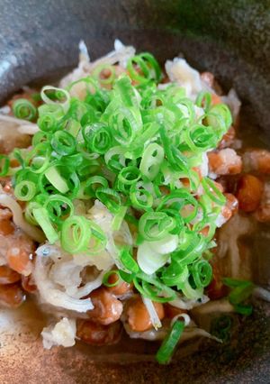 納豆としらすのおろし和え-レシピのメイン写真
