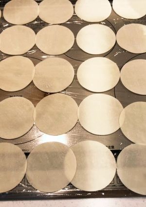 時短！餃子はまとめて包む！具は使い切る！-レシピのメイン写真
