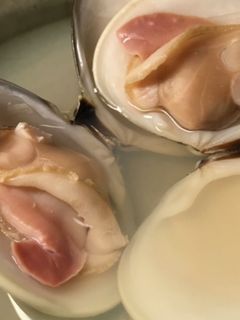 はまぐりの酒蒸し-レシピのメイン写真