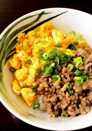 超カンタン夏休みランチはそぼろ丼-レシピのメイン写真