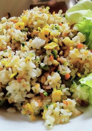ゴーヤ入りの炒飯-レシピのメイン写真