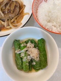ピーマンの煮浸し-レシピのメイン写真
