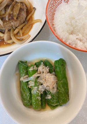 ピーマンの煮浸し-レシピのメイン写真