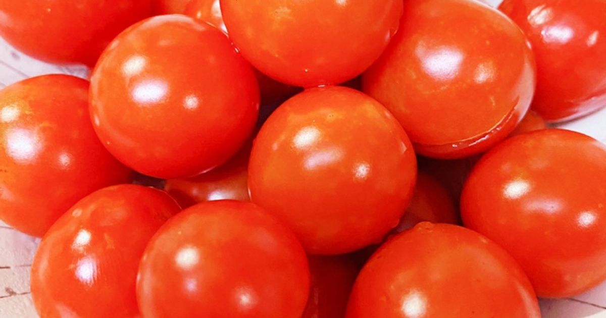 プチトマト 7500枚 ミニトマトパック MF-102P (4H) 105mm×104mm×60mm ミニ トマト