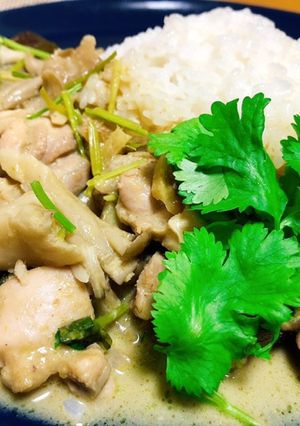 【激カンタン】本格的にグリーンカレー-レシピのメイン写真