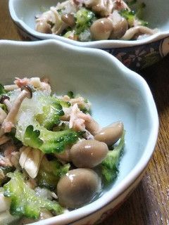 ビタミンCたっぷりゴーヤおろし麺つゆ和え-レシピのメイン写真