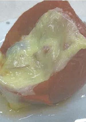 連子鯛のトマト丸ごとグラタン-レシピのメイン写真