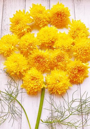 秋の食卓を彩る♪食用菊の茹で方-レシピのメイン写真