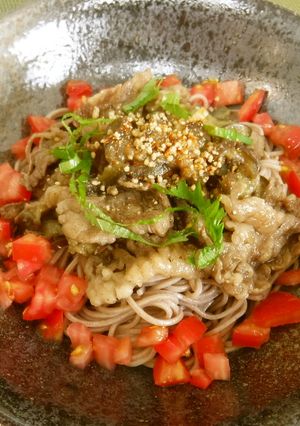 茄子のごちそうそば-レシピのメイン写真