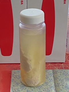酒粕で甘酒-レシピのメイン写真