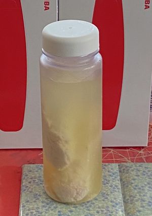 酒粕で甘酒-レシピのメイン写真