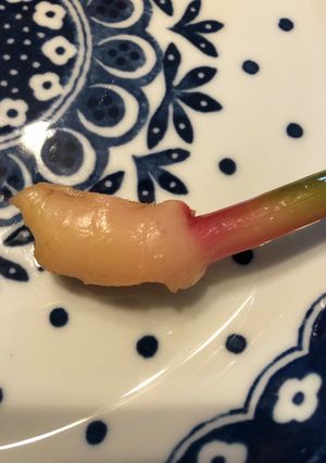 新生姜の甘酢漬（はじかみ）-レシピのメイン写真