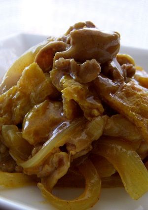 豚肉と油揚げカレー味-レシピのメイン写真
