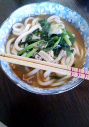 超簡単な坦々うどん-レシピのメイン写真