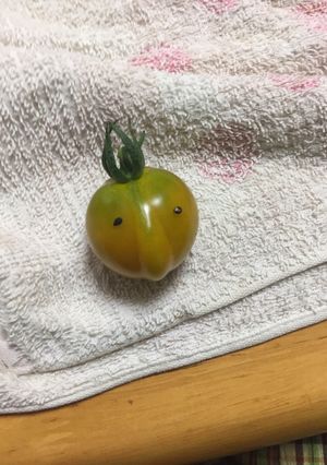 トマトさん-レシピのメイン写真