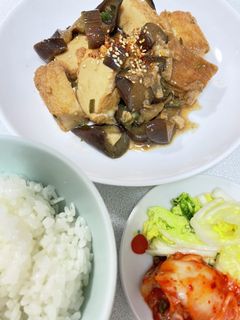 厚揚げとなすの味噌炒め-レシピのメイン写真