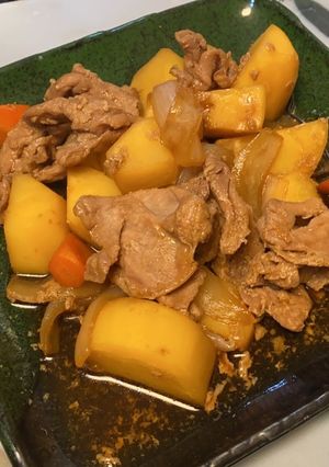 リード圧力パックで作る　低脂質の肉じゃが-レシピのメイン写真