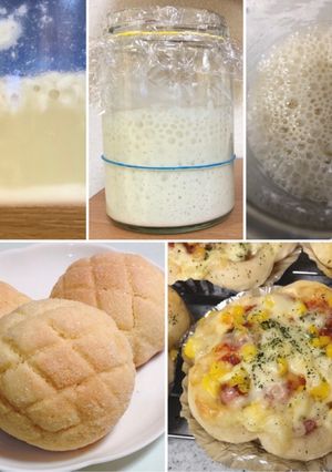 ヨーグルトと麹の酵母-レシピのメイン写真