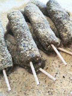 黒胡麻黒豆きな粉のきなこ棒-レシピのメイン写真
