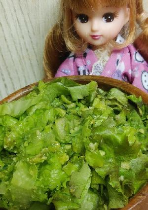 リカちゃん♡わさび味グリーン豆レタス和え-レシピのメイン写真