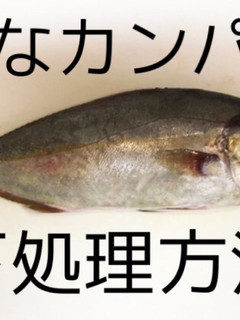 初心者が初めて捌く、カンパチの下処理方法-レシピのメイン写真