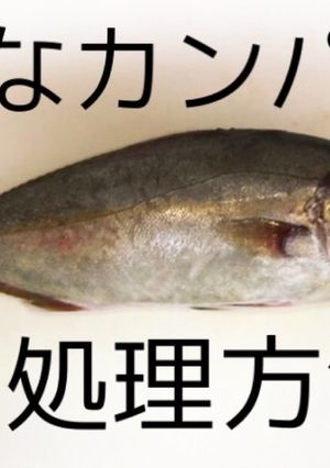 初心者が初めて捌く、カンパチの下処理方法-レシピのメイン写真