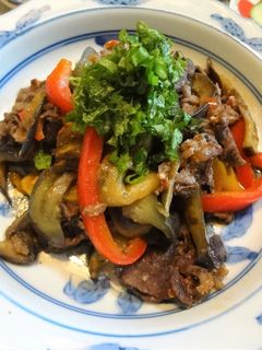 牛肉と茄子のピリ辛炒め-レシピのメイン写真