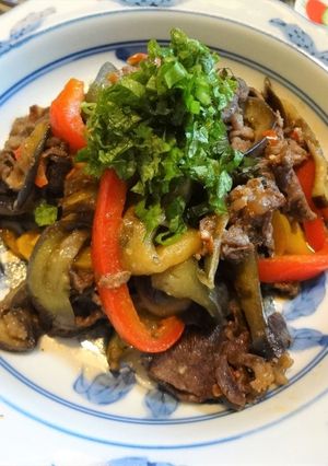 牛肉と茄子のピリ辛炒め-レシピのメイン写真