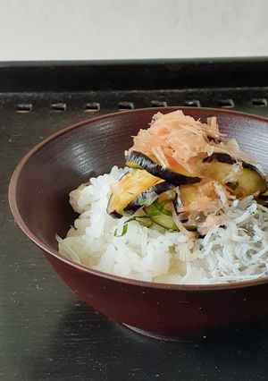 【野菜ソムリエ】京山科なすのっけごはん-レシピのメイン写真