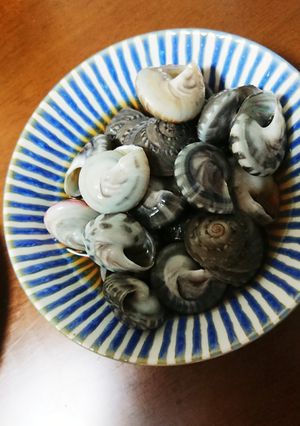 ながらみのおつまみ★鴨川の漁師さん直伝♪-レシピのメイン写真