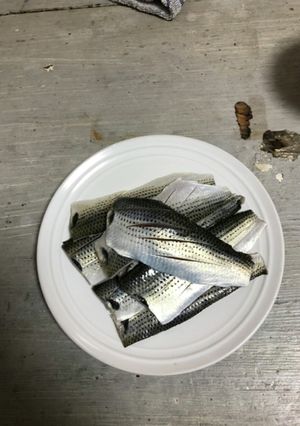 小肌の捌き方　素人酢〆小肌-レシピのメイン写真