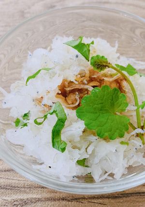しらすおろし　カキドオシ入り-レシピのメイン写真