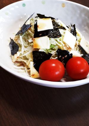 千切りキャベツに海苔とチーズ-レシピのメイン写真