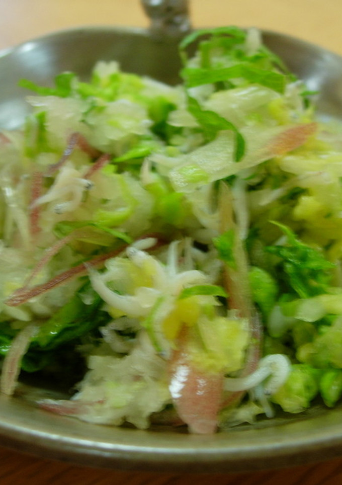 塩もみ白菜としらす茗荷のさっぱりあえ-レシピのメイン写真