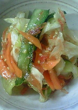 甘辛すっぱい・白菜の韓国風甘酢漬け-レシピのメイン写真