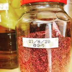 รูปของ 自家製梅干しの副産物　ゆかりの作り方