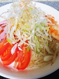 千切りネギをトッピングしてみた冷やし中華-レシピのメイン写真