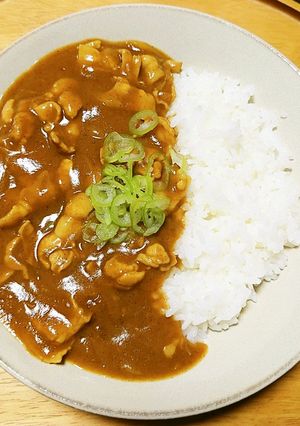 お蕎麦屋さんのカレー-レシピのメイン写真