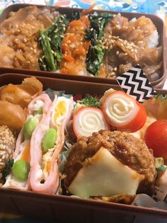 時短 お弁当盛り付け記録16 ビビンバ-レシピのメイン写真