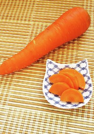 ☺簡単作り置き♪人参の昆布茶漬け☺-レシピのメイン写真