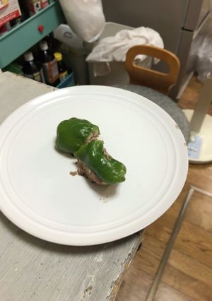ピーマンのフワ肉詰め-レシピのメイン写真