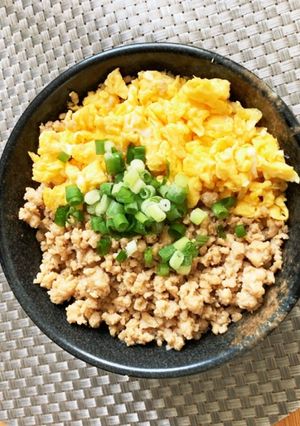 そぼろご飯　昼ご飯　献立　◯-レシピのメイン写真