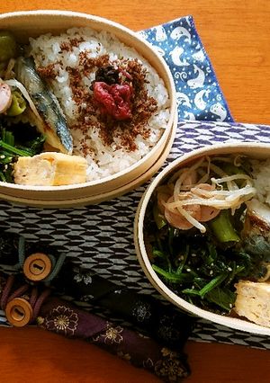 お弁当2021年9月1日-レシピのメイン写真